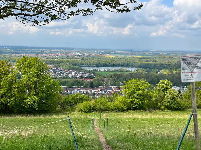 22-04-25 13-56-48 0633